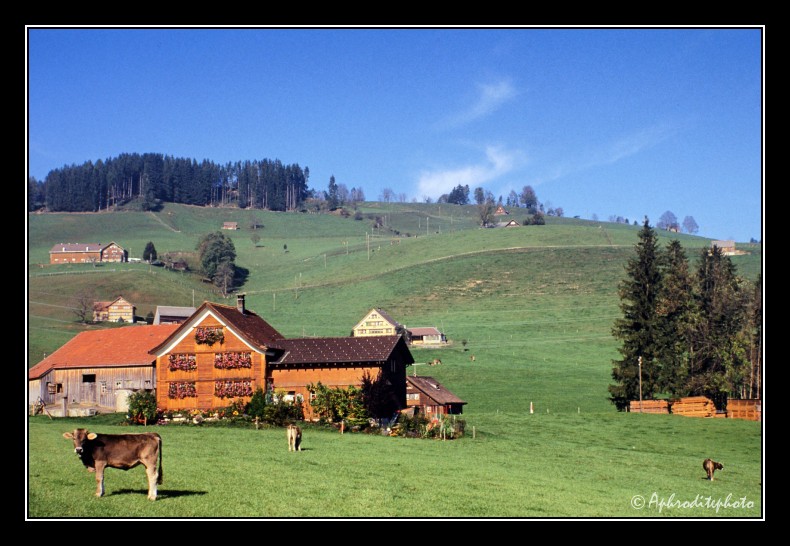 26 Typische Landschaft
